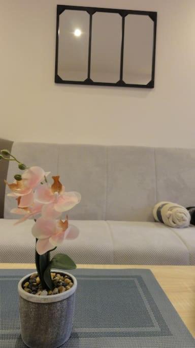 Appartamento Le Belvedere Dernier Etage Avec Terrasse Wifi Fibre Tarbes Esterno foto